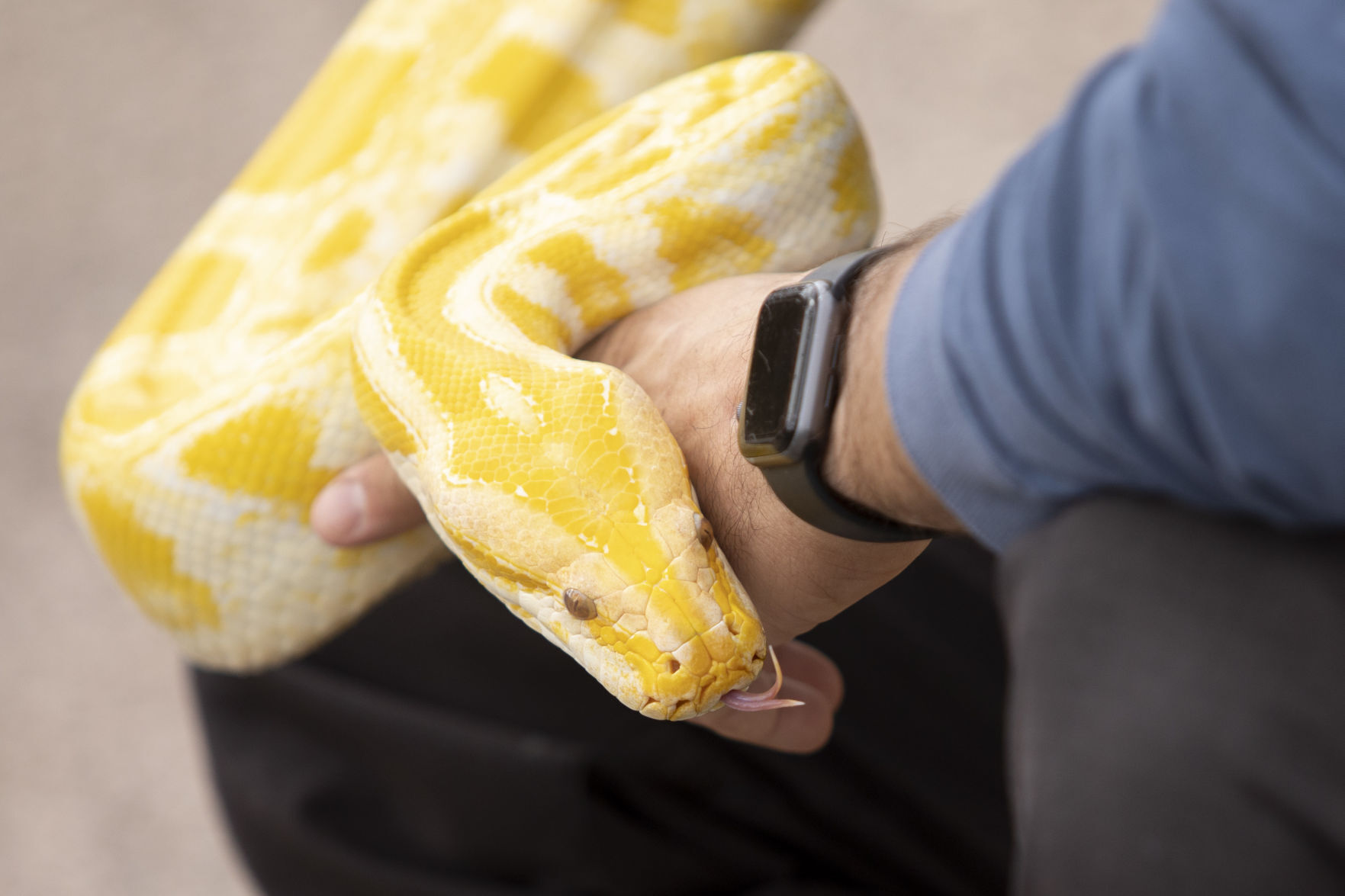Python detail